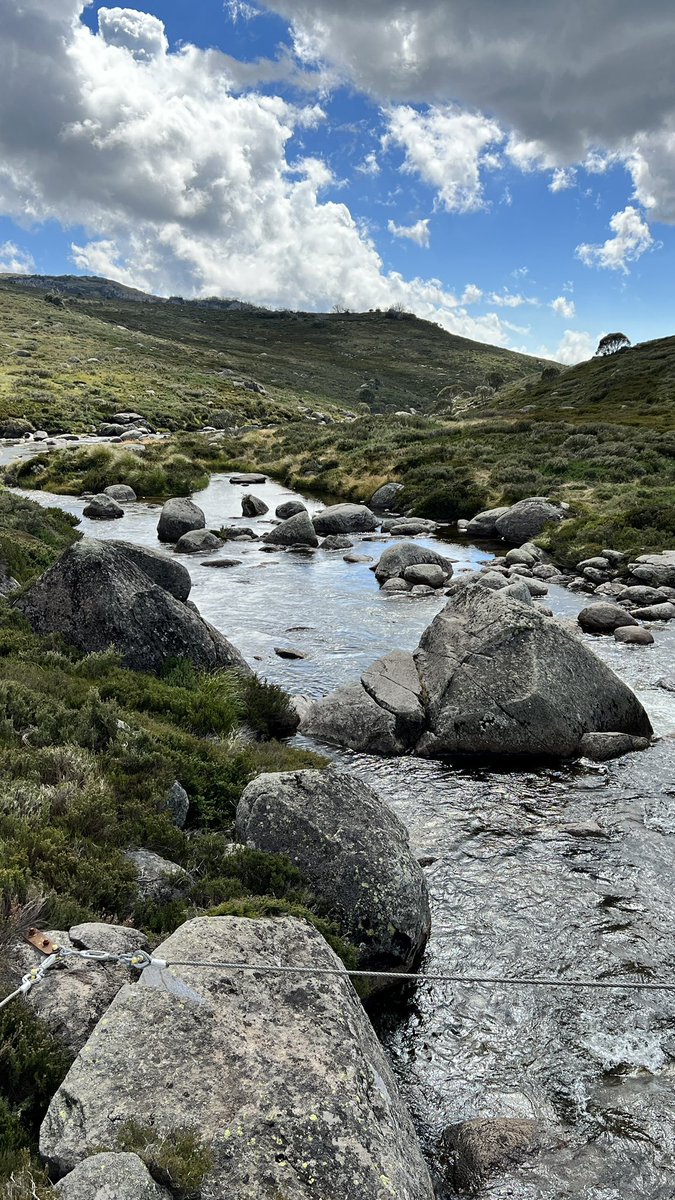 If ever there was a place in #walgu country for spirits of the ancestors to visit you, this would be the place in the snow gum dell 
#snowymountains #AustralianAlps #alpinephotography #australianbackcountry #kosciusko  #BundianWay #CharlottesPass  #tenpeakswalks #auspol