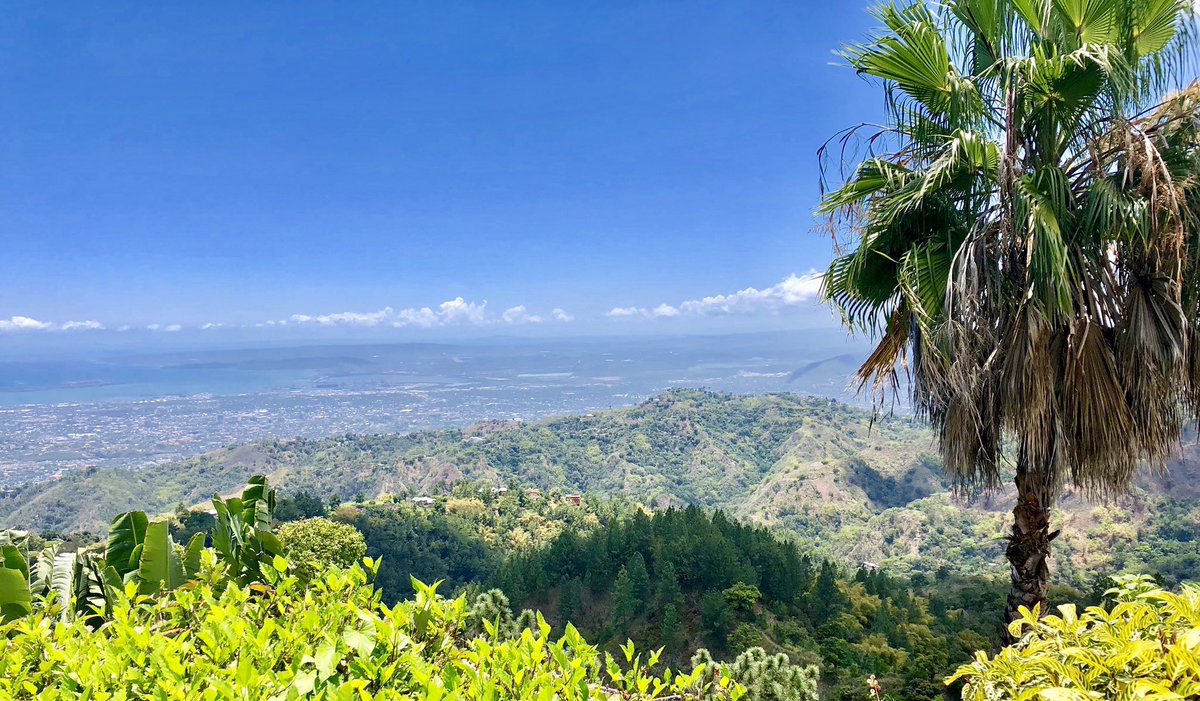 ingridsrinath's tweet photo. Another spring. April 2019. #NostalgiaFiles https://t.co/eTK0pA6AJY