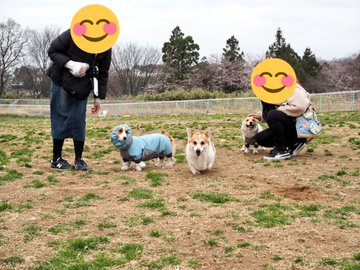 世界の名犬牧場 ひどい かわいそう 臭い 噂は本当なのか口コミチェック