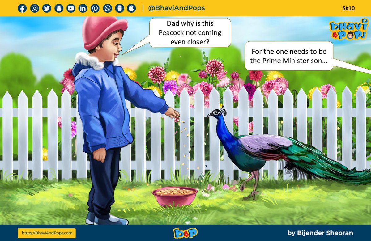 BhaviAndPops's tweet photo. bhavi and his love for peacocks #BhaviAndPops https://t.co/Wm9jI3a5f2