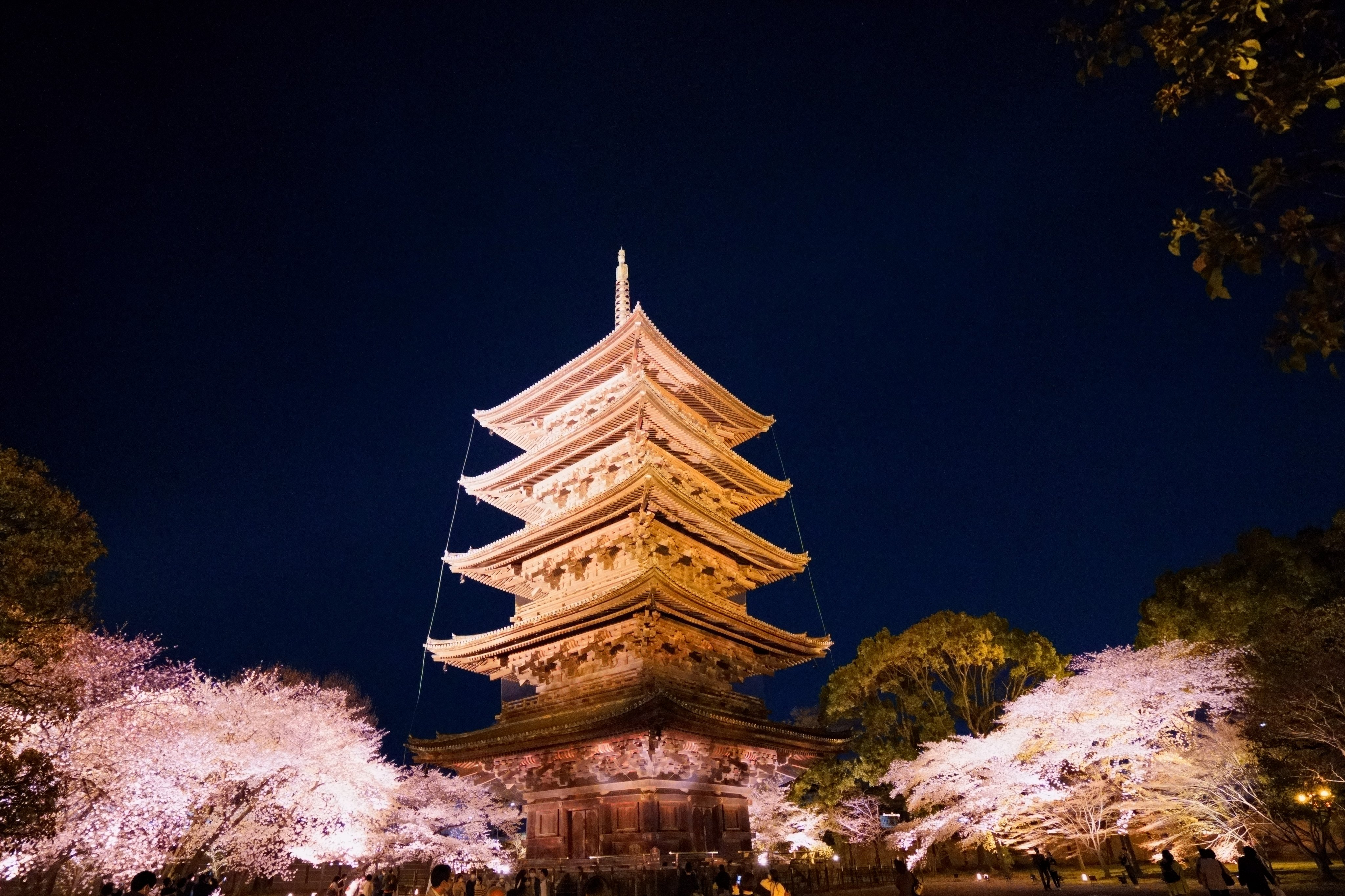 東寺桜 Twitter Search Twitter