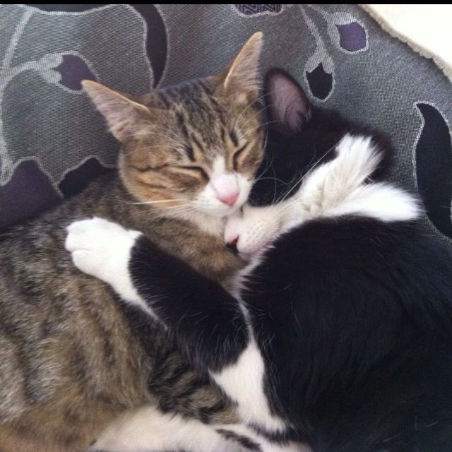 piwoncats's tweet photo. #피원하모니 #KEEHO #SOUL https://t.co/g40Y0LEk0l