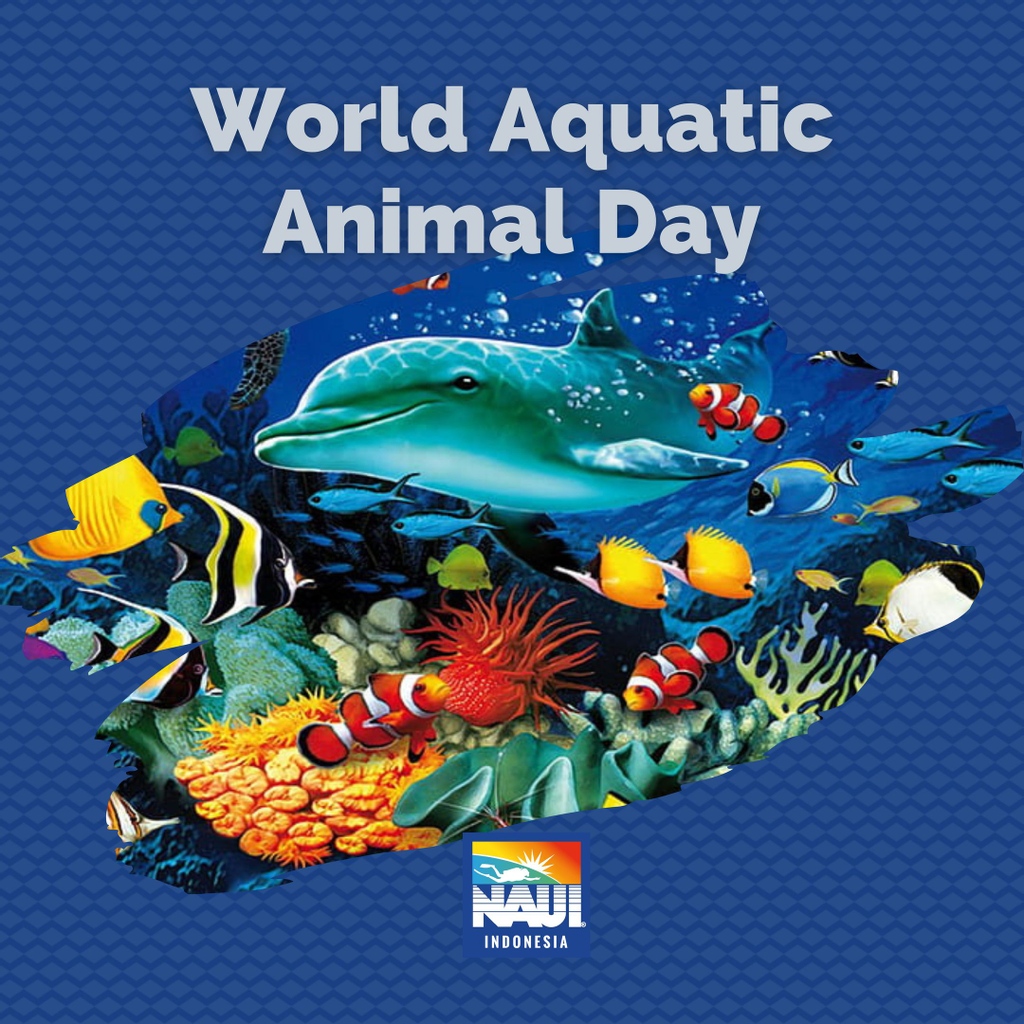 naui_id's tweet photo. We must give attention to these aquatic creatures not only because they serve as source of food and entertainment, but because of the key roles they play in the world’s ecosystem.

⁠
#NAUI #DiveSafetyThroughEducation #TheDifinitionofDiving #NAUIINDONESIA https://t.co/qGqipSZ6gb