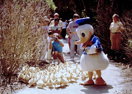 DrewDisneyDude's tweet photo. Iconic Walt Disney World photo of the day: https://t.co/FmoNLyNrhQ