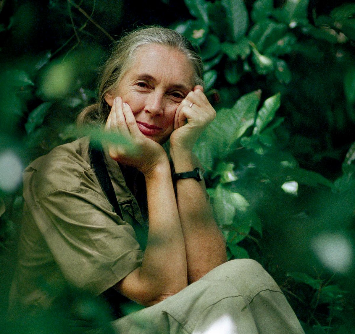 #JaneGoodallHappyBirthday. Looking forward to many more years with you at the helm of #chimp #protection and #conservation. #BeLikeJane.