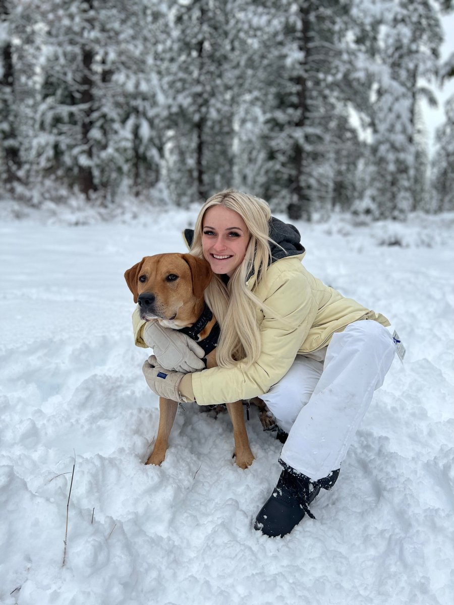 nomadmegg's tweet photo. Visiting family means being in the snow vs the desert 😍#ilikethisbetter #dogsdayhome #dogsoftwitter https://t.co/Ia5OGFBLHk