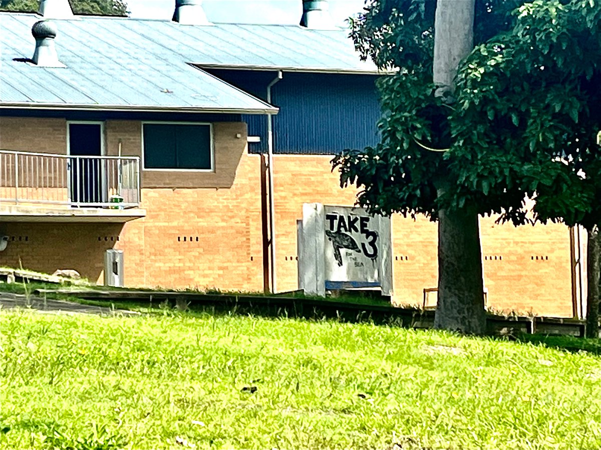 biancaljamison's tweet photo. It’s great to see this local school engaging in #SDG14! This school advertises #take3forthesea within the school environment. Students from the school also used their initiative to Take 3 while participating in a Melanoma March. Education can make an impact! #UoNteach #educ4750 https://t.co/VZmEtcYyRM