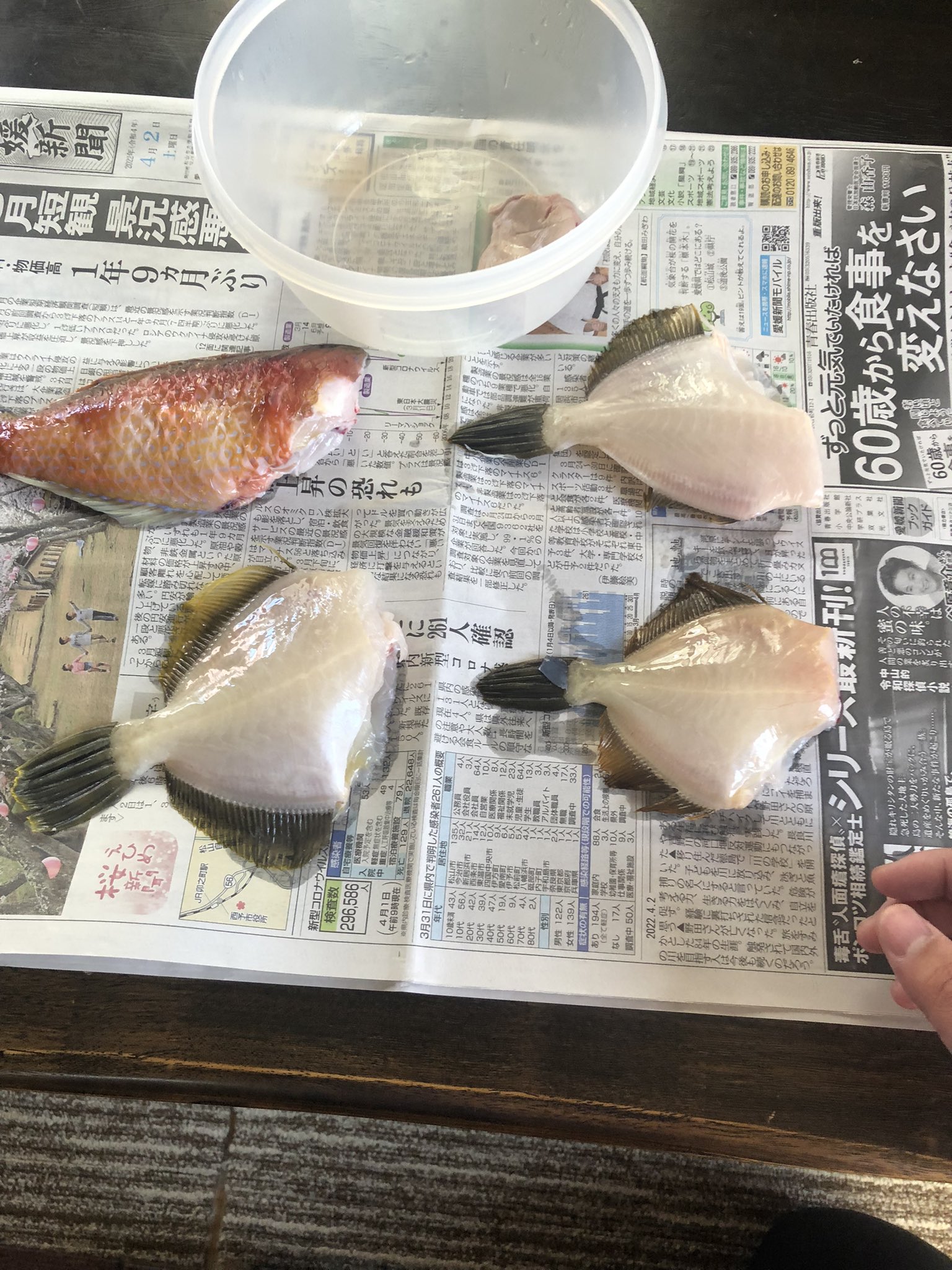 愛媛の本格派投げ釣り師 Kino Twitter