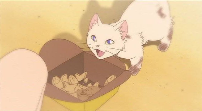 猫の恩返し アニメレーダー