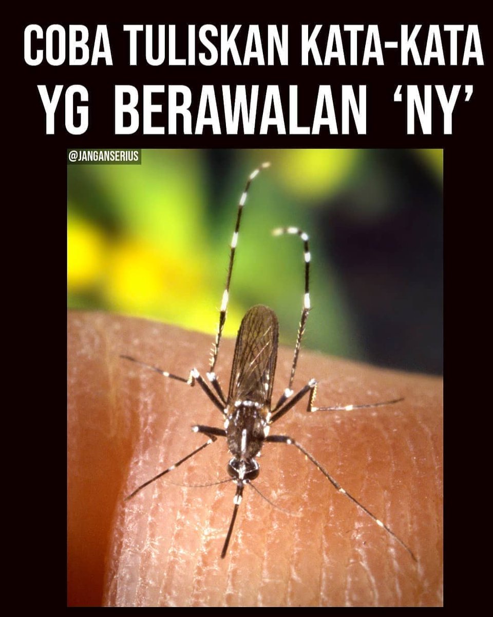 KucengTerbanggg's tweet image. 