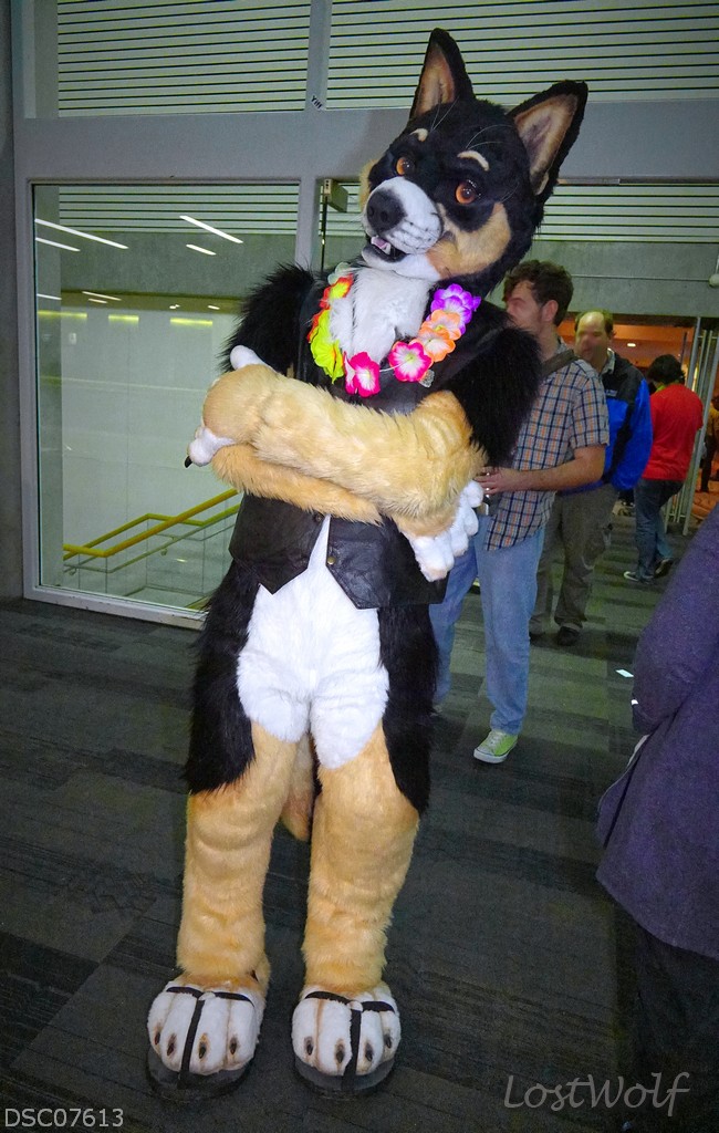 LostWolf321's tweet photo. April 5th is coming up, the day I lost a friend to ALS.
Miss you so much Dogbomb😭
📷@furcon #FC2016
#TonyBarrett
#toastfordogbomb
#ALSCanKissMyFuzzyButt
#dogbomb
#ALS https://t.co/tNU9yI6T3i