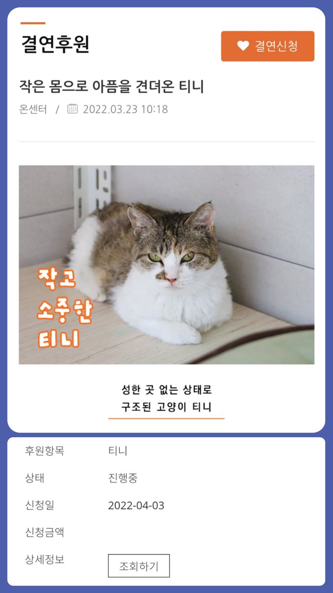 𝘽𝙚 𝙬𝙞𝙩𝙝 𝙔𝙤𝙪
- 
22년 4월 3일, 팬들은 물론 동물들에게도 따뜻하고 좋은 영향력을 선물해주는 성화의 생일을 기념하여 그의 이름으로 두 고양이들과 정기 결연을 맺었습니다.
동물권행동 카라 - 쿠로
동물자유연대 - 티니 의 대부모님 명단에 이름이 올라가기에 이렇게 글을 남깁니다. ♡̷̷̷