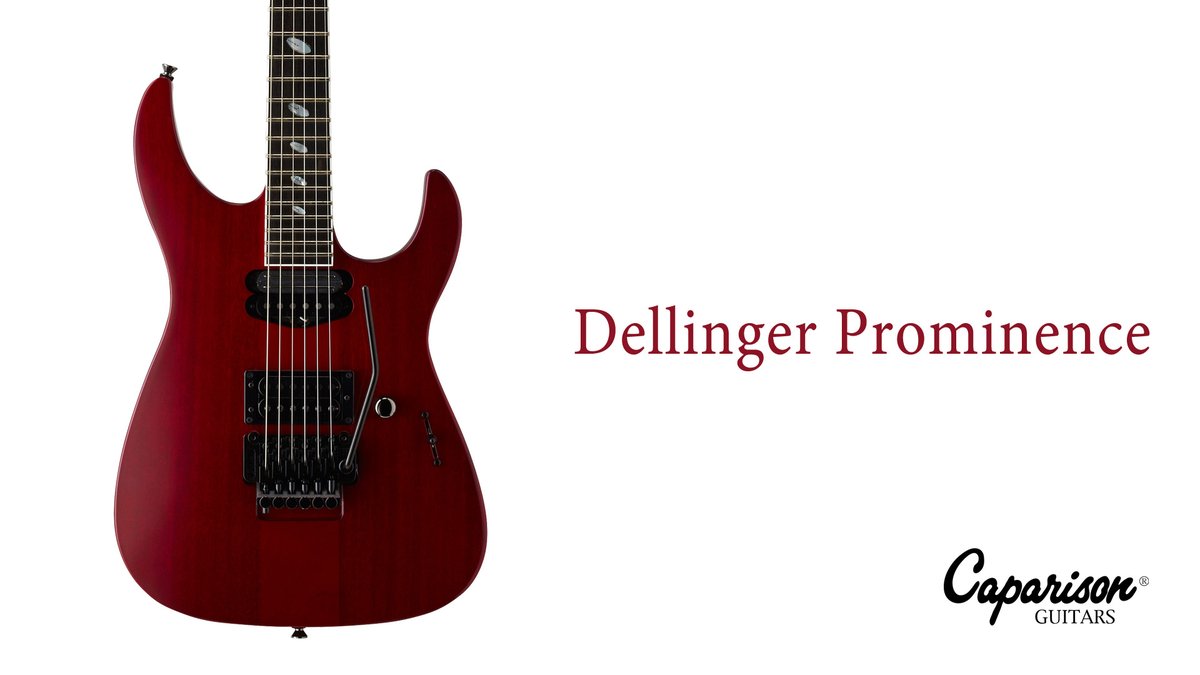 今日のギター Caparison 