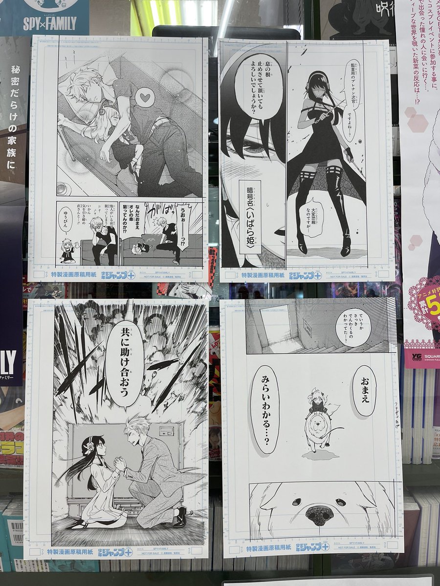 スパイファミリー展 複製原画-