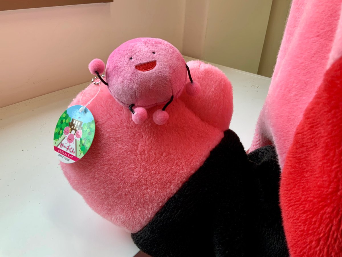 peachkun1924's tweet photo. 100ふぉろー&amp;ついった開設1ヶ月記念〜！🍑🍑🍑
ぼくの分身、もふもふストラップを抽選で10人のお友だちにプレゼントしますっ🍑
応募は、ふぉろーしてから、いいね、または、りついーとしてね。
当選した方にはDMします🍑
#ピーチくん
#成蹊 https://t.co/tyWs6xDHQy