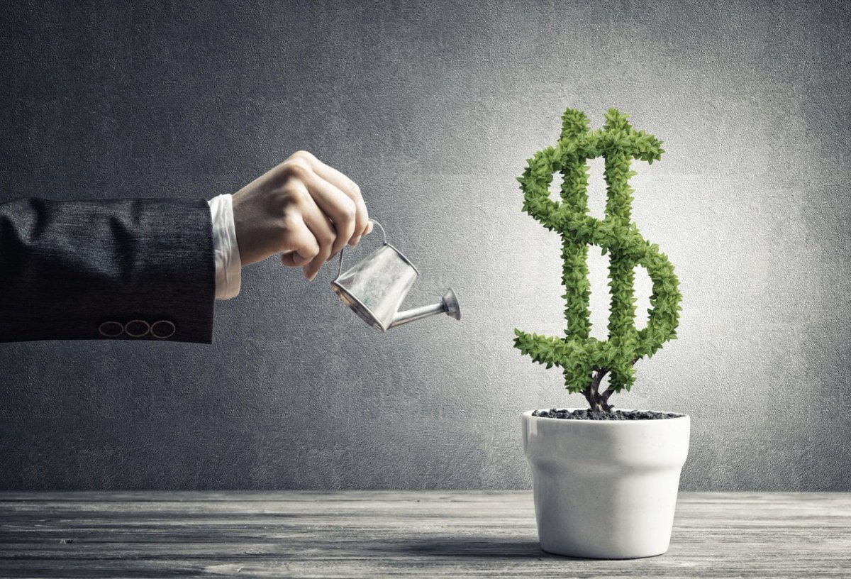 bizzbeginnings's tweet photo. 4 Smart Investments You Should Make in 2022
#Investments #Investment2022 
https://t.co/Kfms4eHd5F https://t.co/hICkUtn8n6
