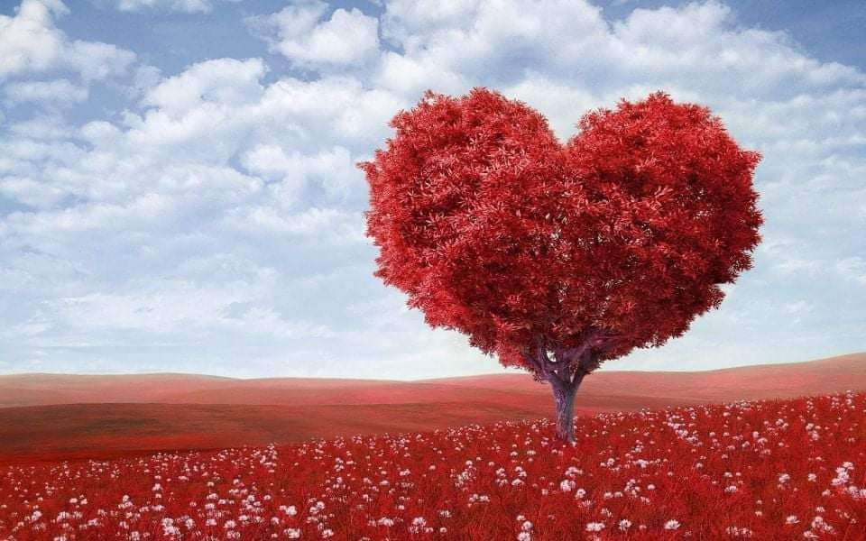 Staat het al in je agenda genoteerd?

Vrijdagmiddag komt Verhalenverteller Nico mooie verhalen met jullie delen. Deze zijn in het thema Liefde, vooral je eerste liefde.
Zaterdag begint de Boekenweek, je hebt het  thema vast al geraden.

Vrijdag 8 april
14.00 - 15.30 uur
