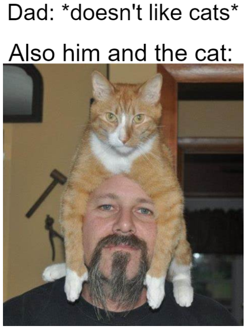 WholesomeMeme's tweet photo. https://t.co/oZM6Y7Odns