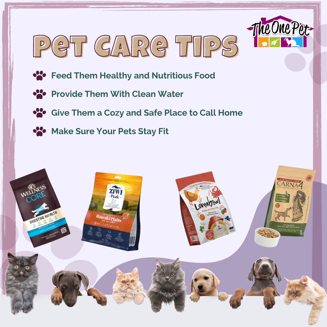TheOnePet_TOP's tweet photo. The most basic care will go a long way for your fur babies

.
.
.
.
.
.
.
.
.
.
.
.
.
#petcaretips
#theonepetdidyouknow
#theonepet 
#theonepetSG 
#Singapawrean 
#petssg 
#pets https://t.co/T2k1uqt13v