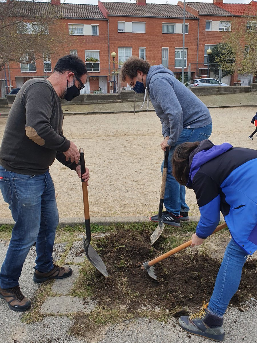 Setmana enfeinada a l'Escola (1/3)
Dijous: El forat de l'arbre de P4 i P5 ⛏