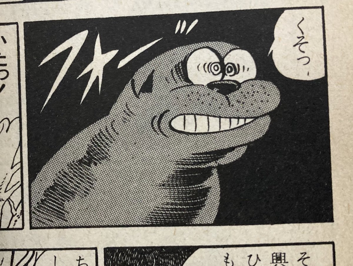ハムゴジって正面から見るとオットセイに似てるから好きだな。 