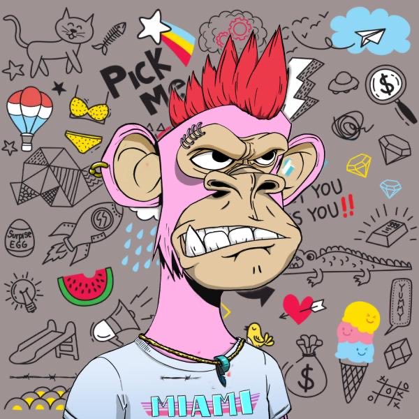 Hayden.eth tweet media