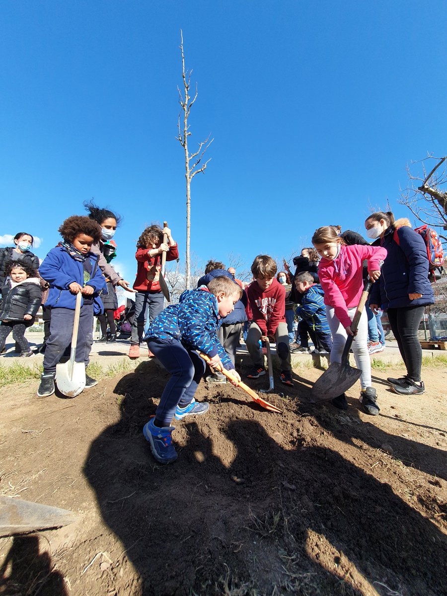 Setmana enfeinada a l'Escola (2/3)
Divendres: Plantada de l'arbre 🌳 de P4 i P5