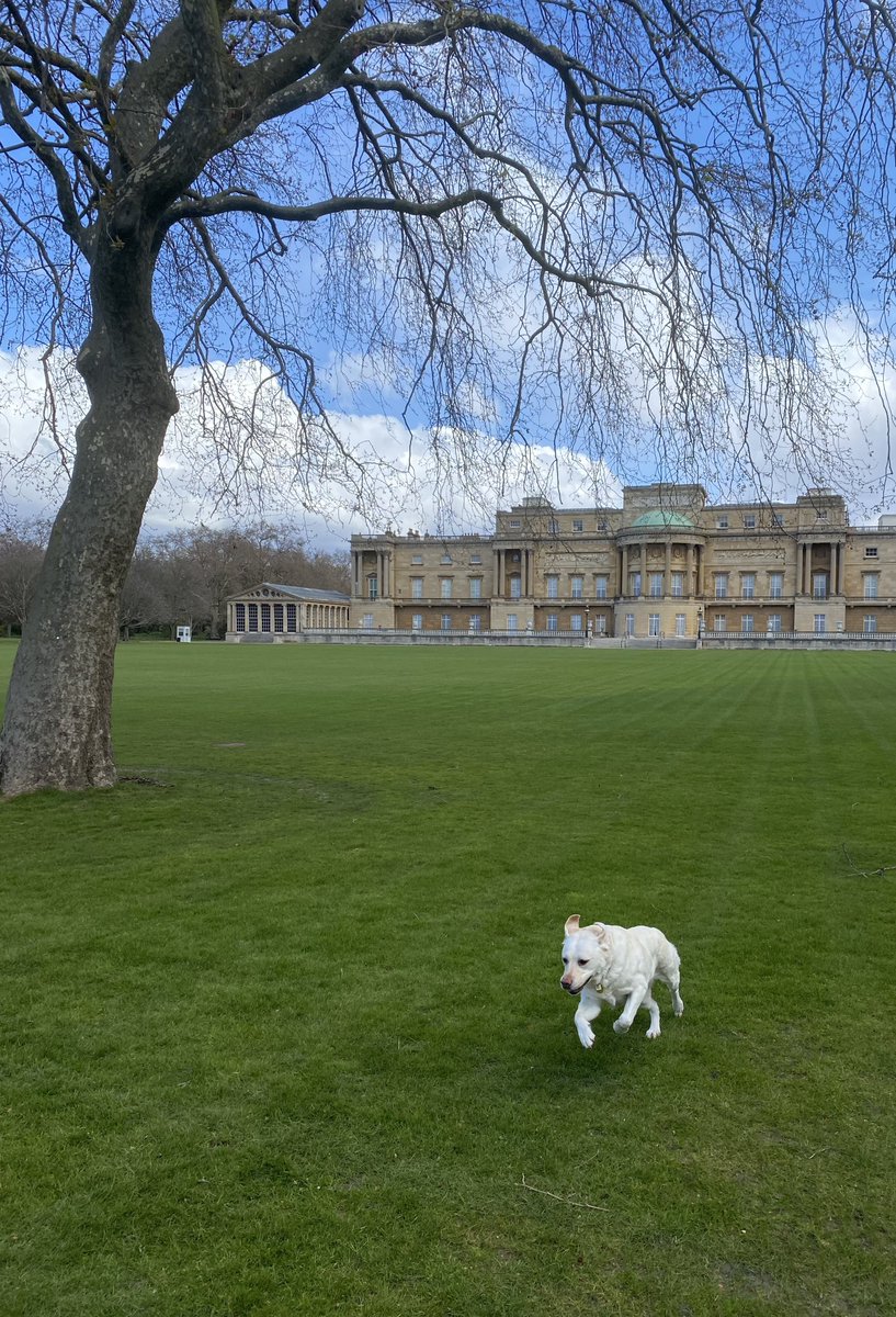 It’s not every day you get to stretch your legs in the garden of #BuckinghamPalace 👑

#TheBigJubileeLunch #TheKikaEffect