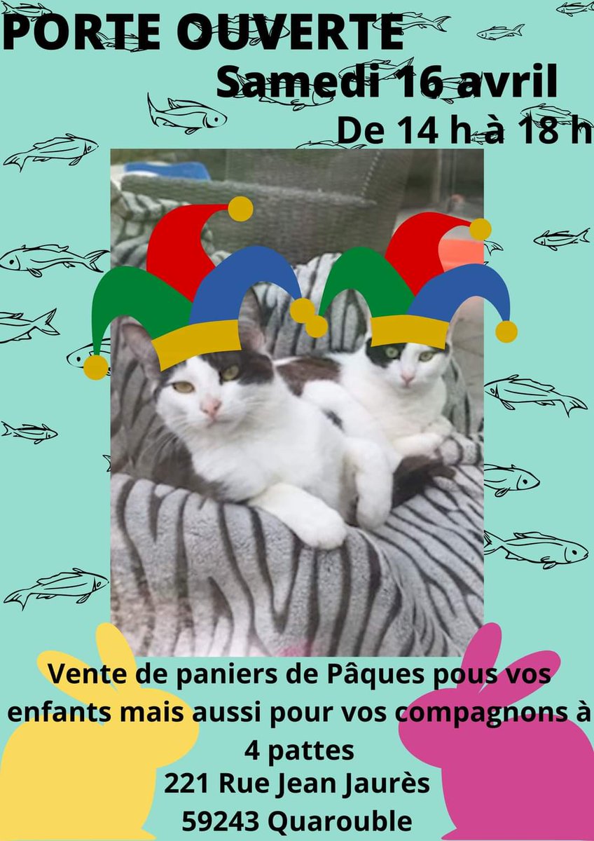 adnquarouble's tweet photo. Bonjour 😊
Pâques arrive à grand pas 🐑🐥🐔 L arche de noé quarouble(59) vous donne rdv le 16 avril de 14h à 18h lors de sa porte ouverte afin de venir rencontrer nos loulous et pourquoi pas avoir un coup de ❤️
Vente de paniers garnis pour enfants, chats et chiens
Venez nombreux https://t.co/D7JPhMjXlE