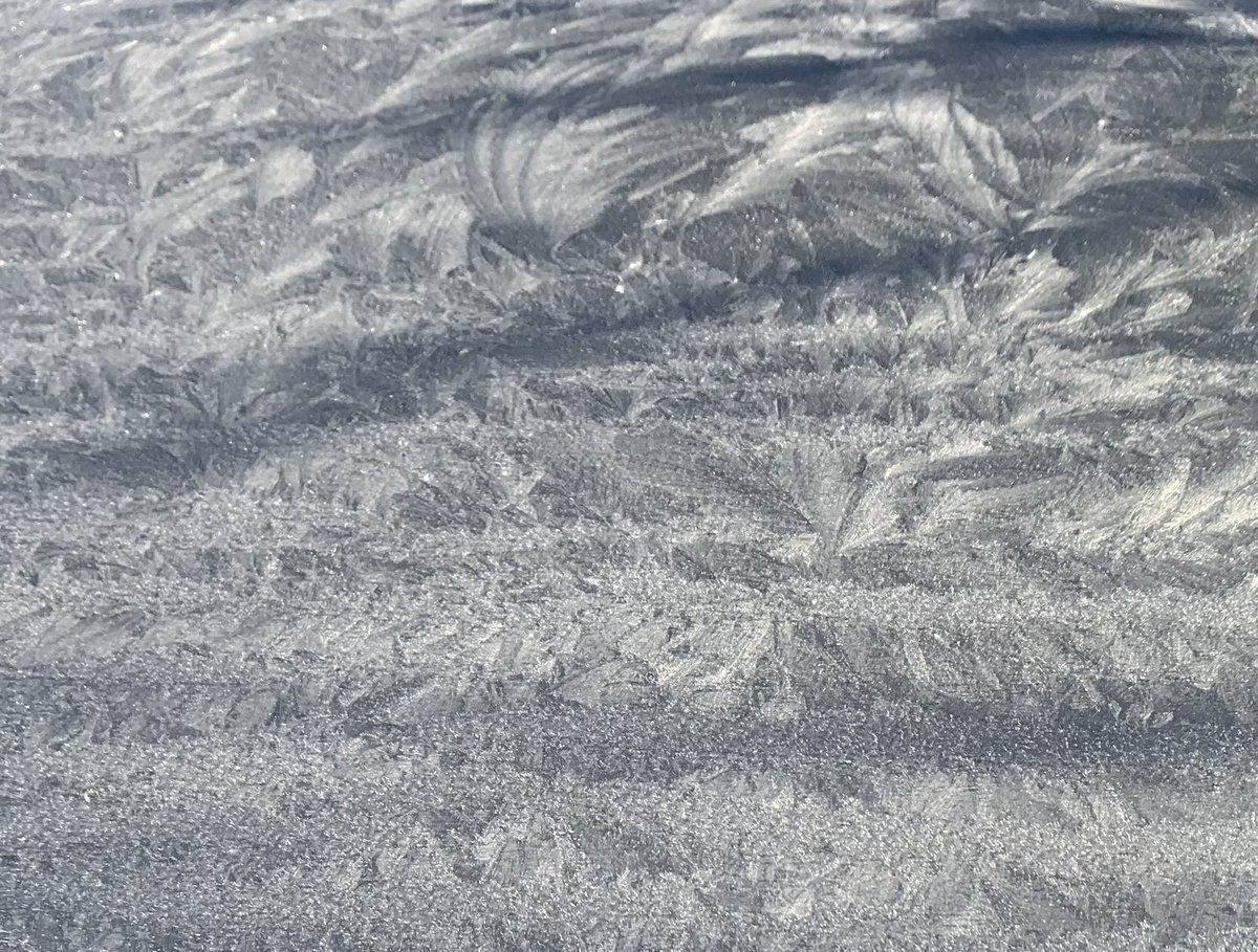 CarolPostlethw1's tweet image. Sunshine and frost on #sundayworking @sashnhs