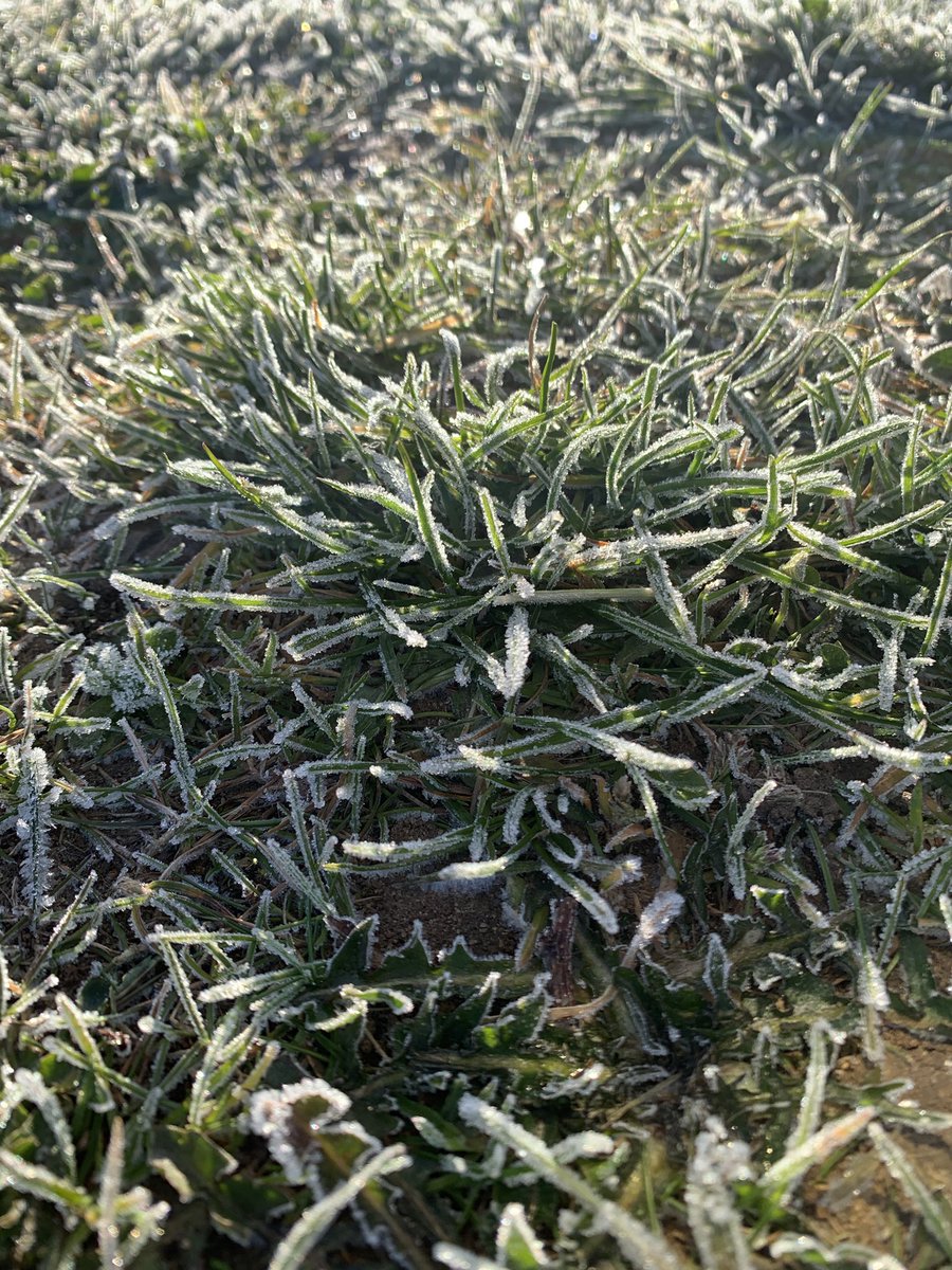 CarolPostlethw1's tweet image. Sunshine and frost on #sundayworking @sashnhs