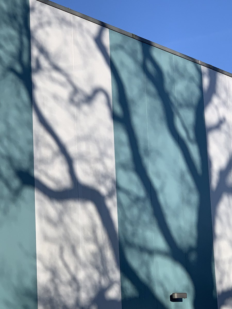 CarolPostlethw1's tweet image. Sunshine and frost on #sundayworking @sashnhs