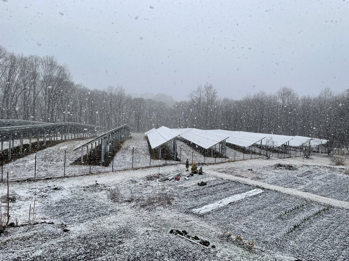 Kuro_EVOX's tweet photo. めっちゃ雪。
4月の雪は県外ナンバーがノーマルタイヤで来るから危ないんだよなぁ

さてさて何台車が事故るかねぇ https://t.co/oeQfVqzHxE