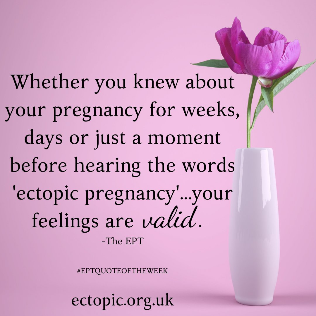 The Ectopic Pregnancy Trust tweet media