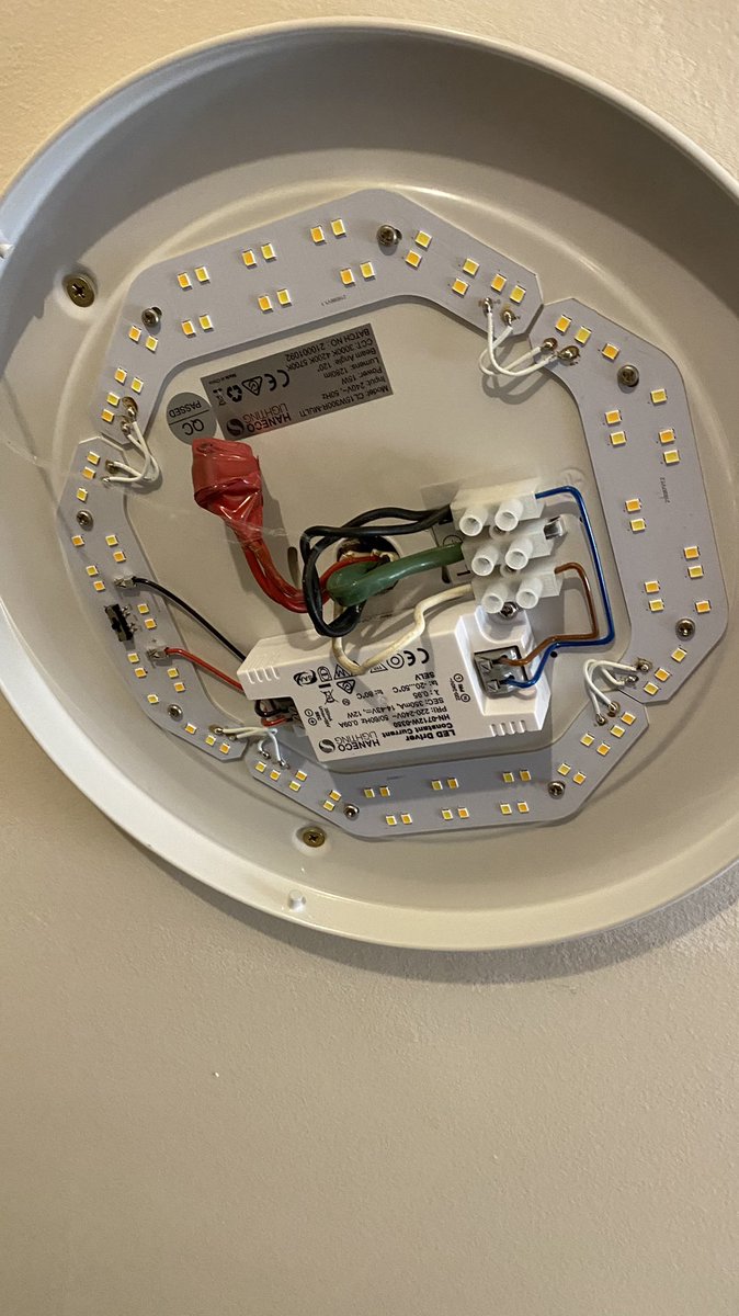 Cyber Disaster Squirrel tweet media