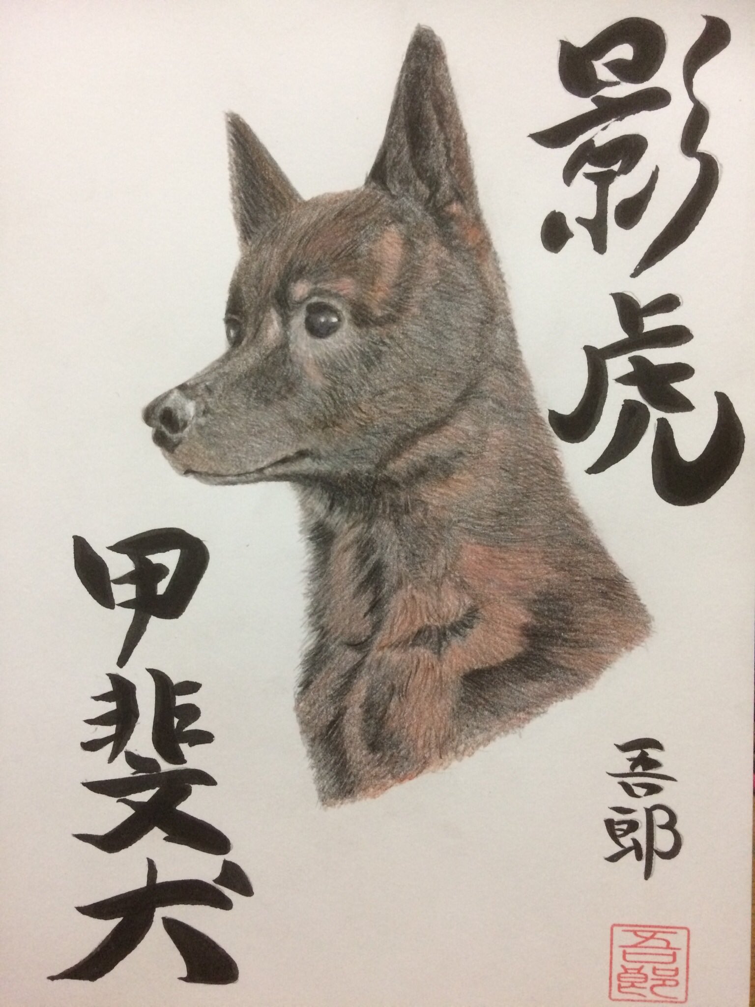 Twitter এ 大阪吾郎アートスタジオ 日本犬作品 甲斐犬イラスト 甲斐犬 日本犬イラスト T Co H2spsrmjfs ট ইট র