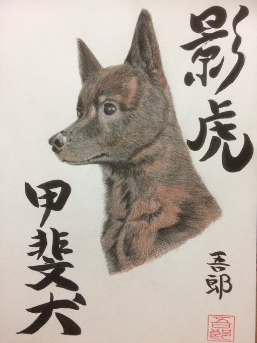 日本犬のtwitterイラスト検索結果