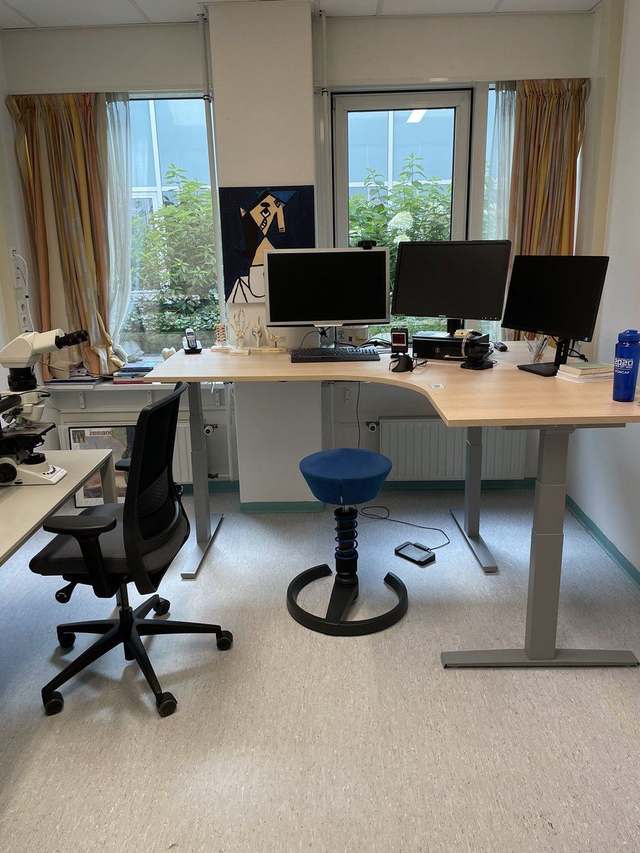 PathologieDNA's tweet photo. This is how our work spot looks like: Clean desk! (no trays with slides) Adjustable table with 3 screens, Speechreport and Nationwide synoptic reporting. https://t.co/3kt3z4ypGM