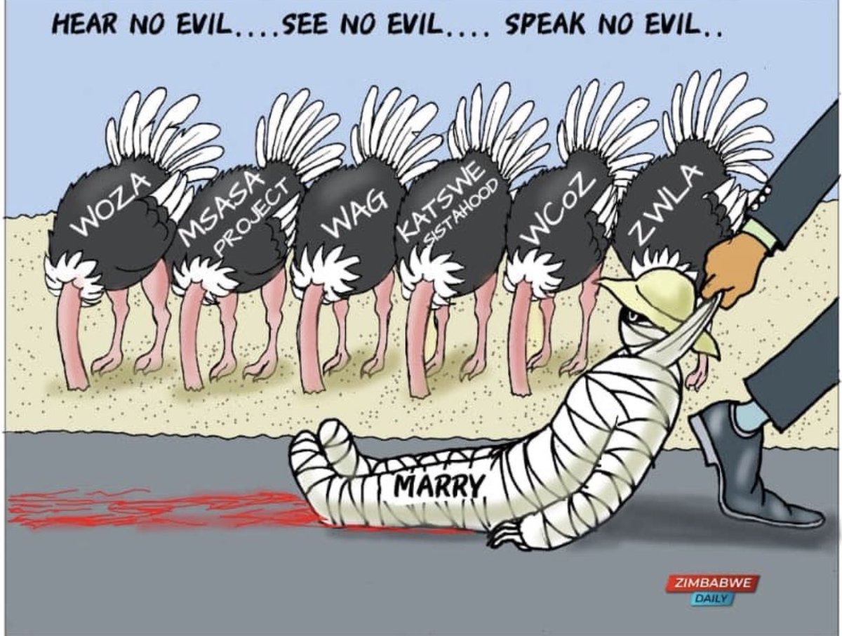 Indeed these women’s rights organizations have shown that they are as good as not being there.

As useless as we never thought they were and not fit for purpose.
They will jump and scream over <a href="/nelsonchamisa/">nelson chamisa</a> having banter with his wife, yet turn their back on Marry’s horror show!