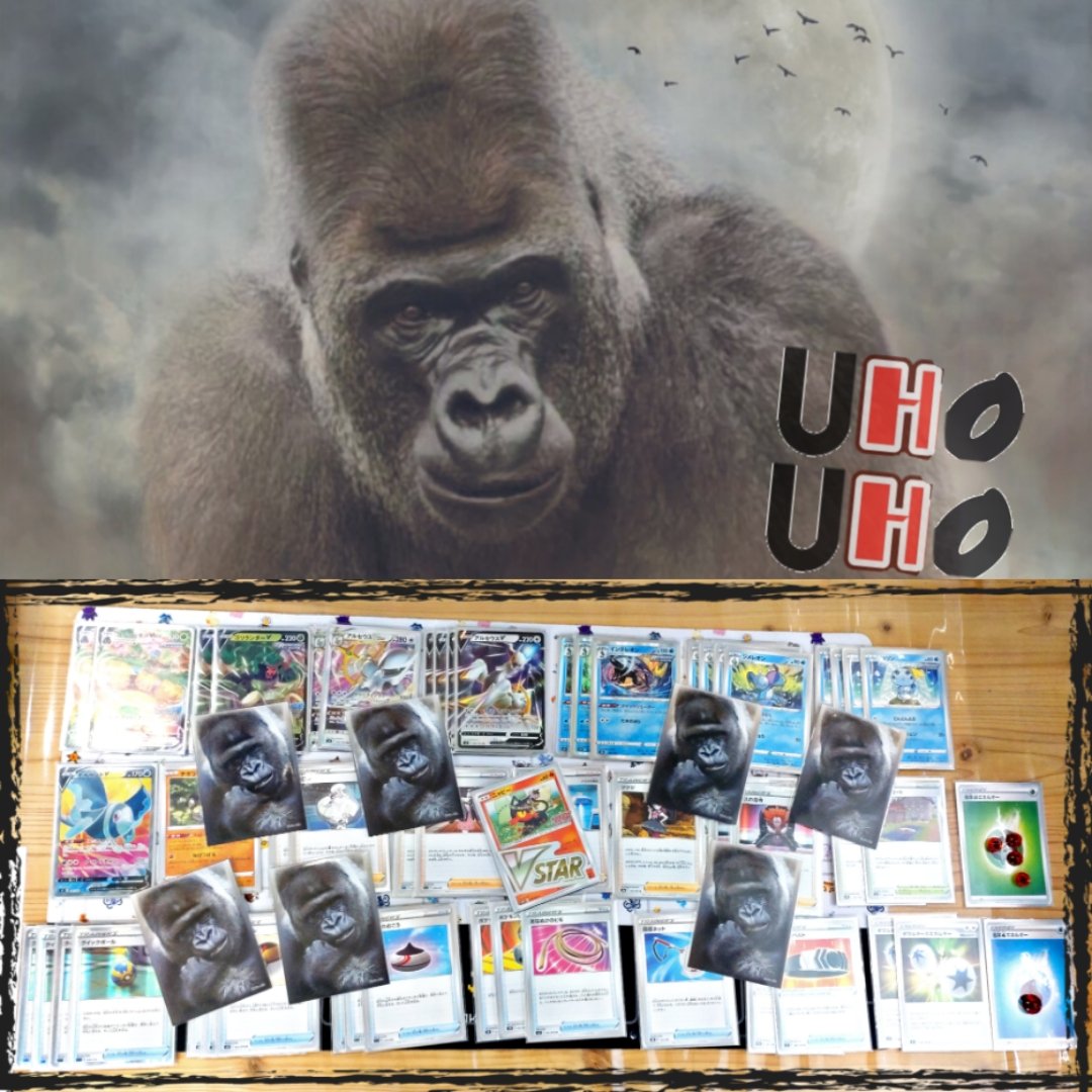 石とカードの森 4月3日 日 12時30分 ジムバトル 優勝者 三沢さん デッキ名 神ゴリラ コメント ウホッウホホッ ゴリラはよろこんでいる様だ ウホホウッホ おめでとうご座います ポケモンカード ポケカ 優勝