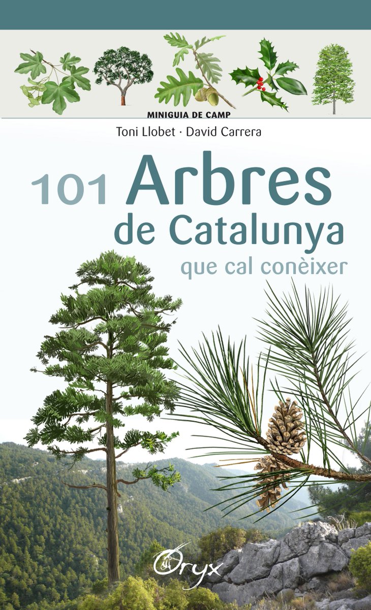 Catalunya Ofertes tweet media