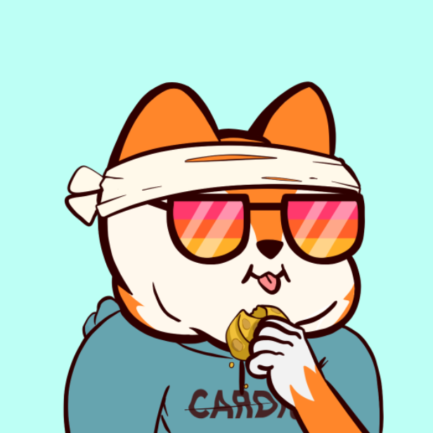 FAT FOX FED (SOLD OUT) tweet media