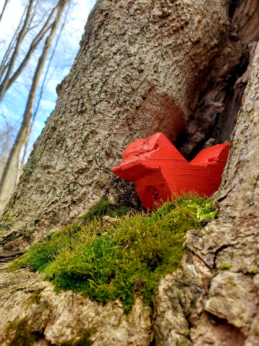 Hide and Seek on the #GreenLakes trails!  Has anyone seen wooden birds around the trails? Wondering if there are more! #syracuse #CNY #newyorkstateparks