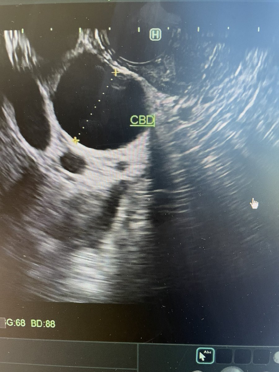 Amaninder Dhaliwal tweet media