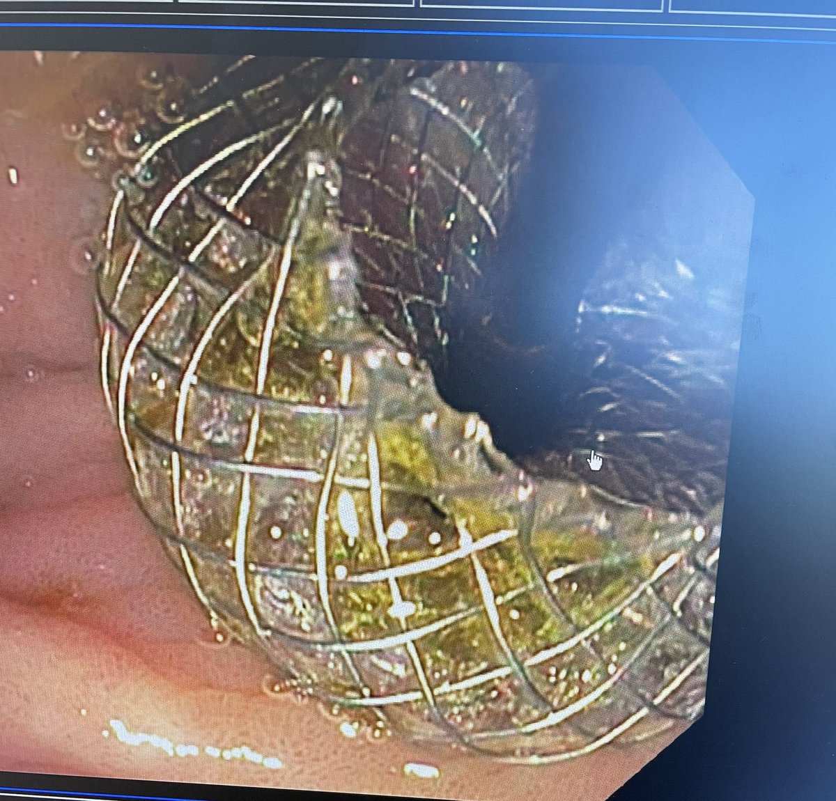 Amaninder Dhaliwal tweet media