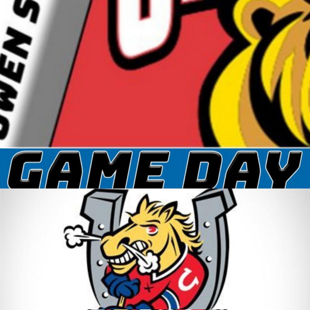 AttackGameday's tweet photo. #Attack are headed into their final push of the regular season this week

Vs. Barrie at home April 13th 700pm 
Vs. Kitchener at home April 16th 730pm

#FinalPushWeek 
#OSvsBAR 🐻🐎 #OSvsKIT 🐻🤠

📝- @AttackGameday 
📸- @OHLin60Podcast https://t.co/eKhvgVWyAJ