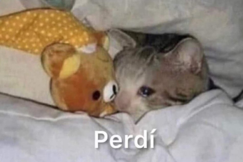 "El que se enamora, pierde".

Yo a los 3 días: