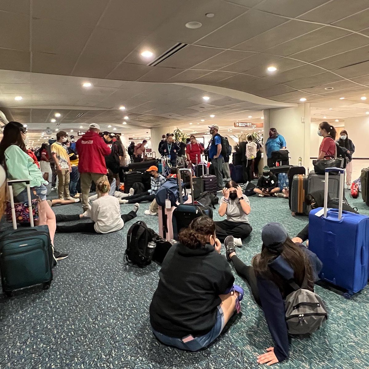 NoteAbleTravel's tweet photo. Safe travels home, @oconnororch! It’s been a pleasure. Until next time.
#NoteAbleTravelExperiences #NoteAbleTravel #NoteAble #NTE #ANoteAbleExperience #OConnorHSOrchestra #Orlando #DisneyWorld https://t.co/ACFgJXJZiS