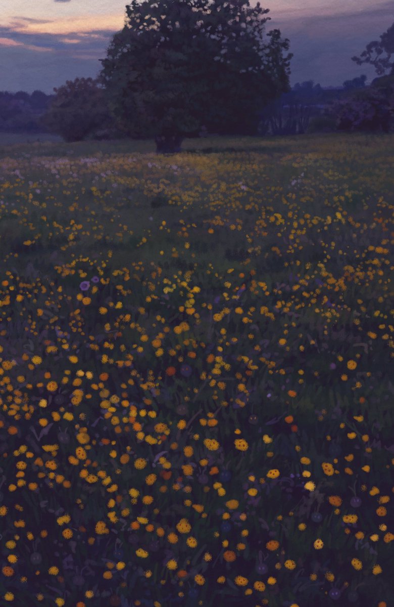 outhwaitegeorge's tweet photo. Buttercups
Digital painting https://t.co/5CRxSP7Lzh