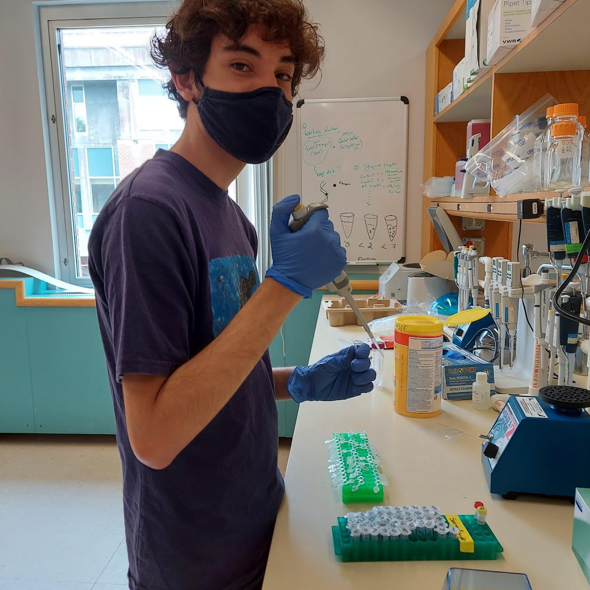 evolvingseas tweet media